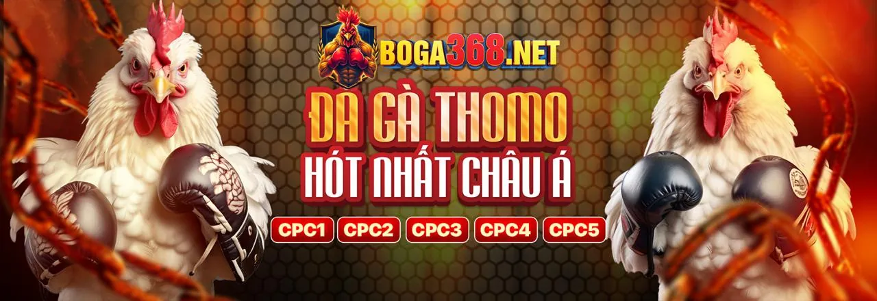 Khuyến mãi độc quyền trên ứng dụng bl55 khuyến mãi