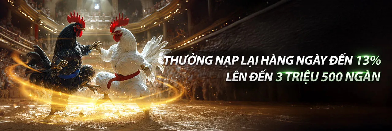 Đá gà trực tuyến kịch tính tại bl55 khuyến mãi